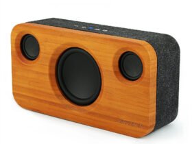 Go PLUS Portable Bluetooth Speaker