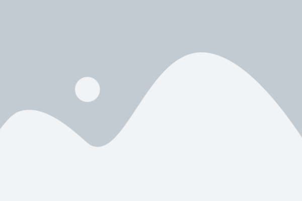 Elppa iPed Pro (2018) (Wifi + 3G) - Image 3