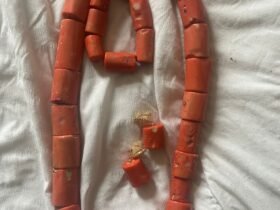 Orange Oasis Accessory Set